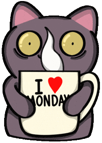 Monday Morning Cat GIF