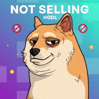 To The Moon Crypto GIF by Doge Pound