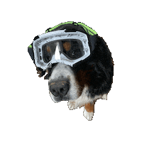 Css Sticker by Cycle Sport Silkeborg