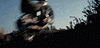 lawrence of arabia gif offering GIF by Maudit