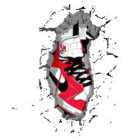 Nike Jordan Sticker
