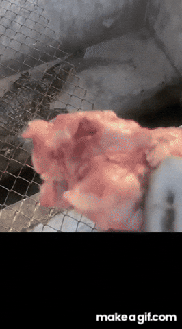 norbertodaniel  GIF