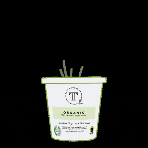 Leaping Bunny GIF by Tamara's Sugar