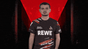 Sk Gaming Shut Up GIF by Bundesliga