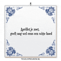 Humor Nl GIF by Tegelspreuken.nl