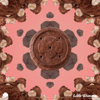 Girl Scout Cookies GIF by Little Brownie Bakers