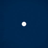 Gemengewalen GIF by DemokrateschPartei