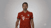 fc bayern no GIF by Bundesliga
