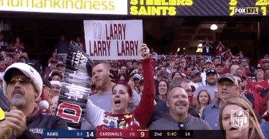 2018 Nfl Football GIF by NFL