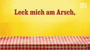 Dog Bavaria GIF by Bayerischer Rundfunk