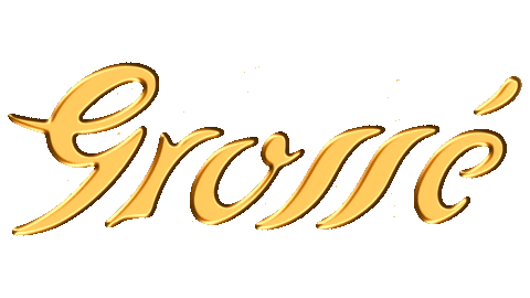 grossejapan giphyupload cute japan gold Sticker