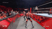 Wwe Wrestling GIF by USA Network