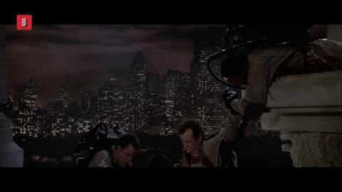 sarahmcnitt giphygifmaker GIF