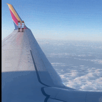 Flying The Shining GIF