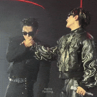 Lolfanfest GIF