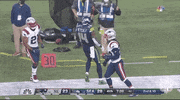 Regular Season Football GIF