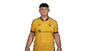 Dynamo Dresden Football Sticker by Bundesliga