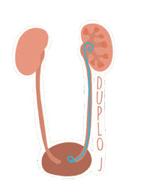Hospital Medico Sticker