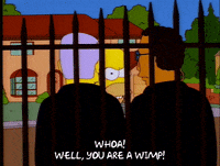 homer simpson episode 13 GIF