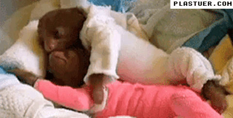 giphyupload GIF
