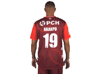 Sport Bundesliga Sticker by 1. VFL Potsdam