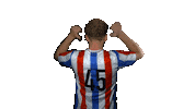 Soccer Celebration Sticker by rksv UDI'19/CSU Udi 8