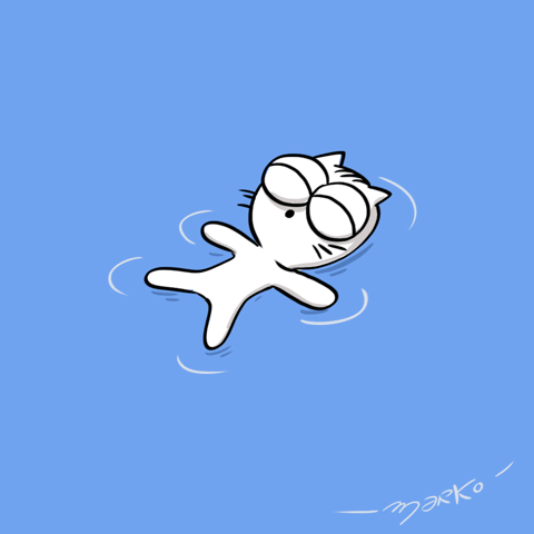 cat GIF by marko