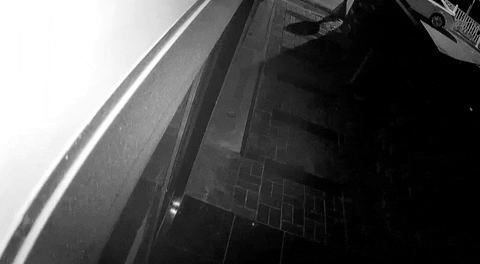 ehdgus1211 giphyupload GIF