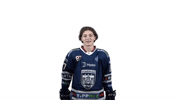 Hockey Hoki GIF by Fehervar AV19