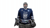 Hockey Hoki GIF by Fehervar AV19