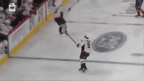 ds_pucklover giphygifmaker GIF