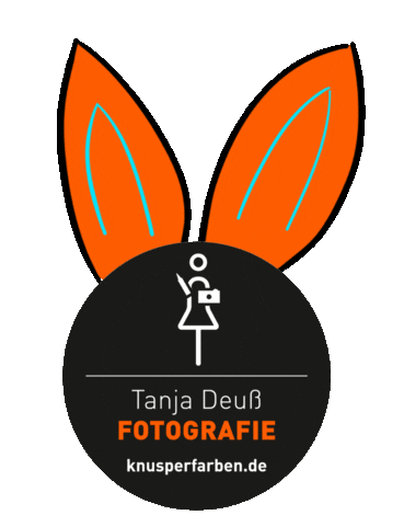 Fun Orange Sticker by Knusperfarben