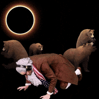 Roaring Solar Eclipse GIF