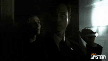 Listen, You Hear That?