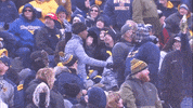 GIF by WVU Sports