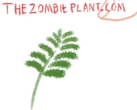 life zombie GIF