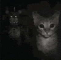 Five Nights At Freddys F GIF