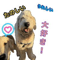 Happy Dog Sticker