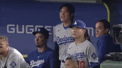 Yell Los Angeles Dodgers GIF by MLB