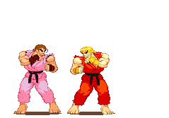 fight ninja STICKER