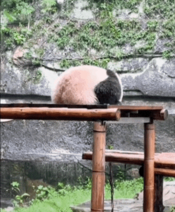 ehdgus1211 giphyupload GIF