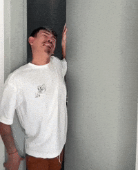 Luuizleaoo meme brasil brazil triste GIF