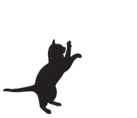 dance cat Sticker by Teyana Taylor