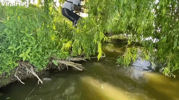 Large Fish Pulls Man into the Water