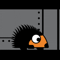 Hedgehog Running GIF by GOOD PUPPY