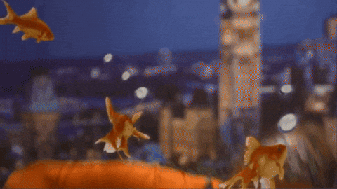 At Work GIF by StittsvilleOnPatrol