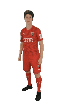 schanzerinnen frauenfussball petz nichtohnemeinemädels schanzerinnen Sticker