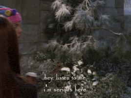season 6 netflix GIF by Gilmore Girls 