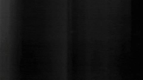 Football Sport GIF by SK Sturm Graz