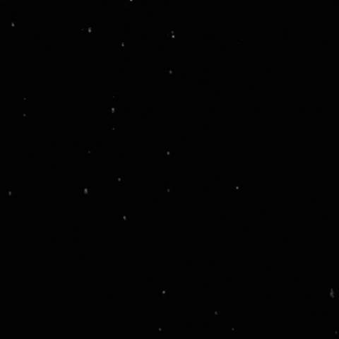 Pabllo Vittar San GIF by Santé Natal